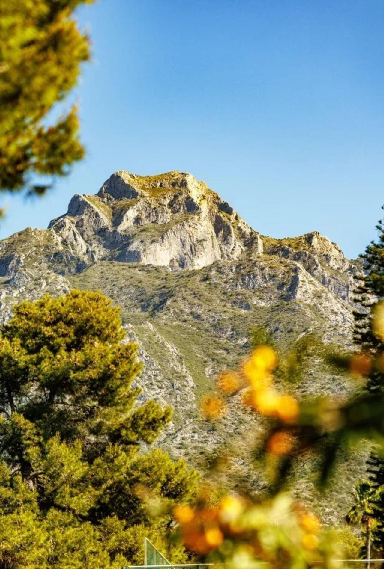 Sierra Blanca Art Of Healing